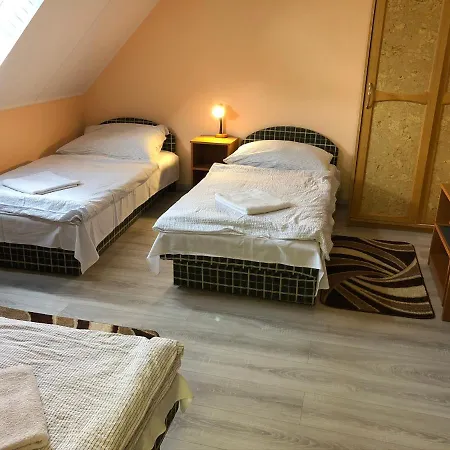 Borcsi Sport Panzio Oda ve Kahvaltı 3*